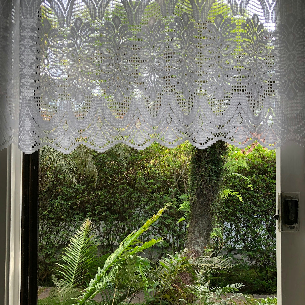 a window with trees outside