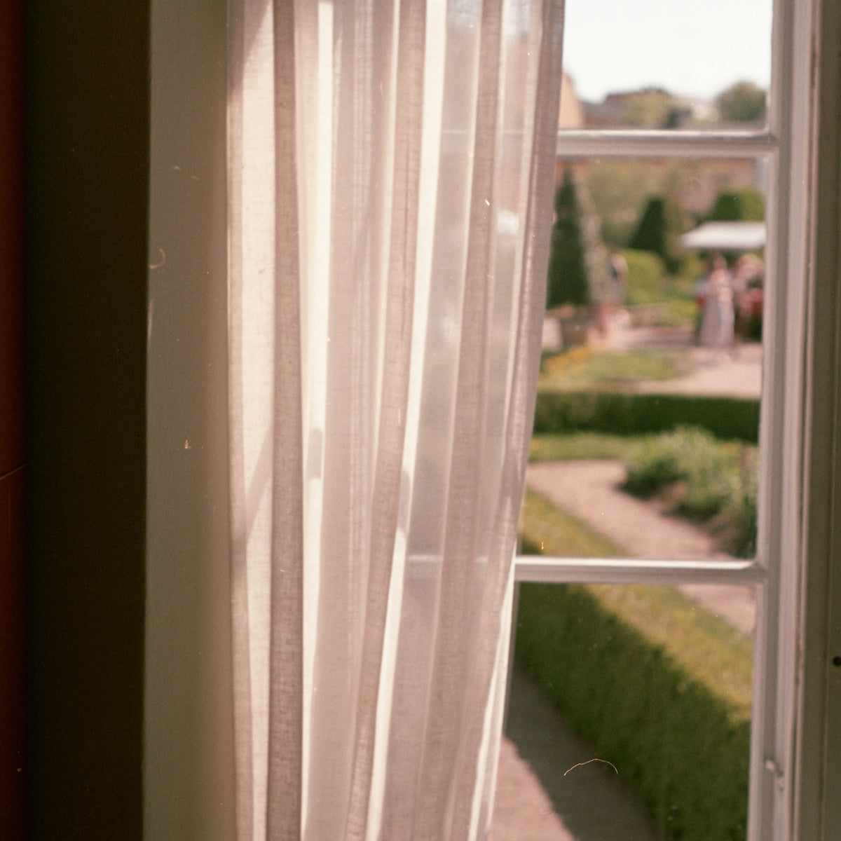 A cat sitting on a window sill looking out the window
