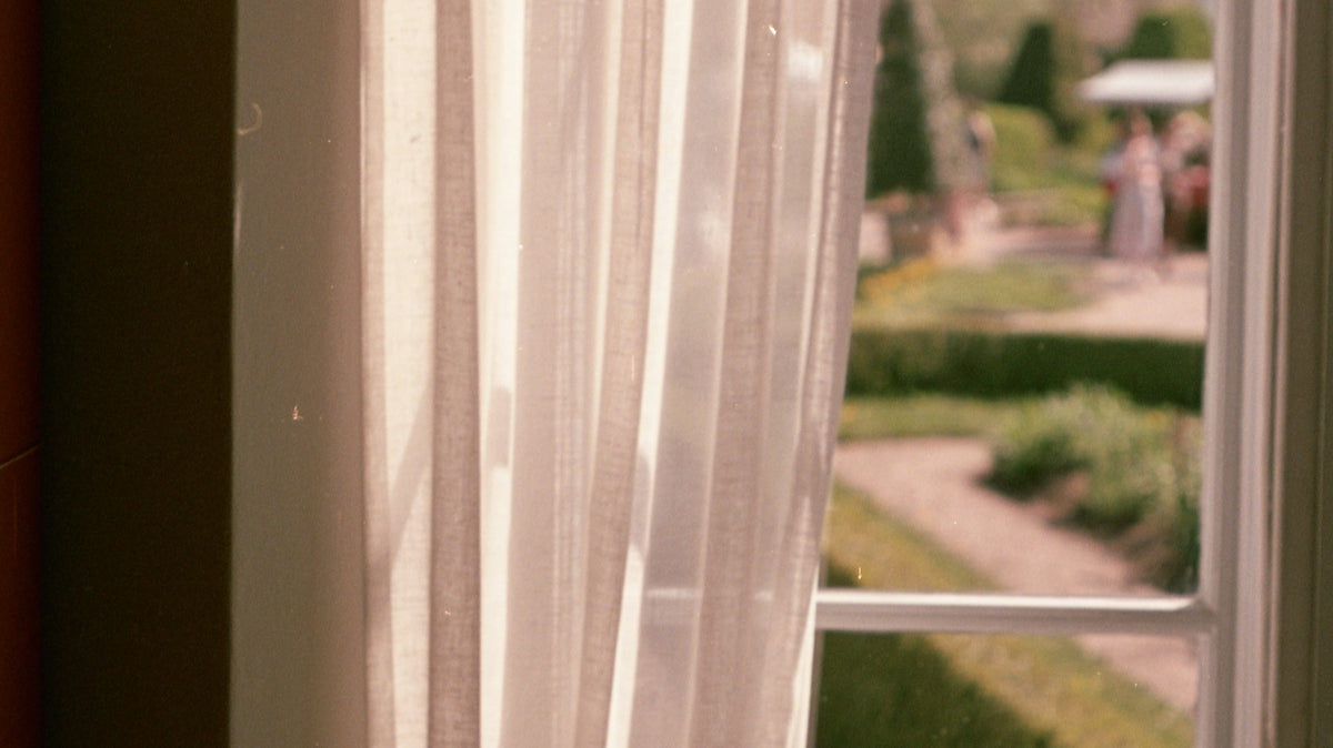A cat sitting on a window sill looking out the window