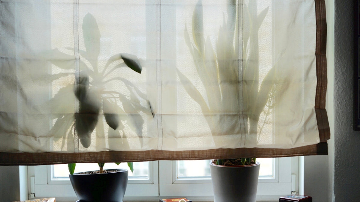A window with a curtain and a potted plant in front of it