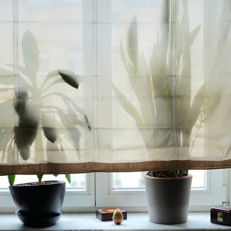 A window with a curtain and a potted plant in front of it