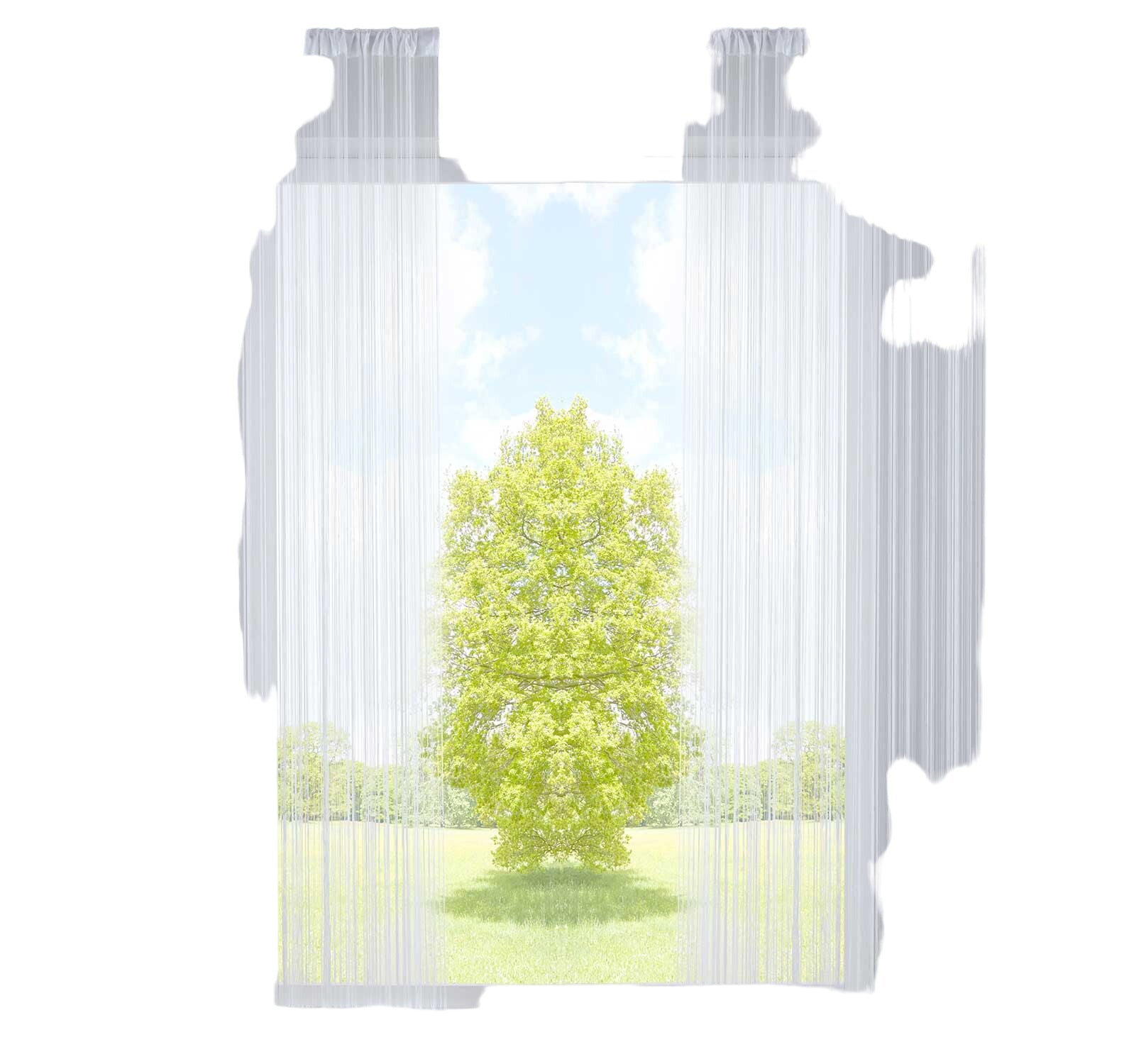 2er Set Fadengardine mit Tunneldurchzug und eingenähtem Kräuselband, geeignet für Gardinenstangen und Gardinenschienen Fadenvorhänge Fadenstores Raumteiler 20303CN2 Fadengardine 20303CN2weiss-crop | Gardinenbox.de