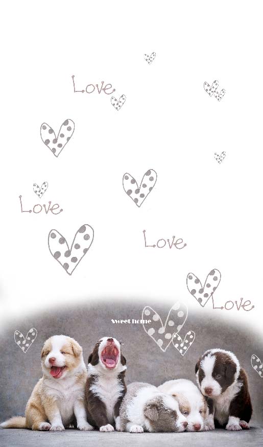 Vorhang Schal blickdicht verdeckte Schlaufen Universalband Digitaldruck (Höhe x Breite cm) 204902 Vorhang Set 20490dogs_1 | Gardinenbox.de