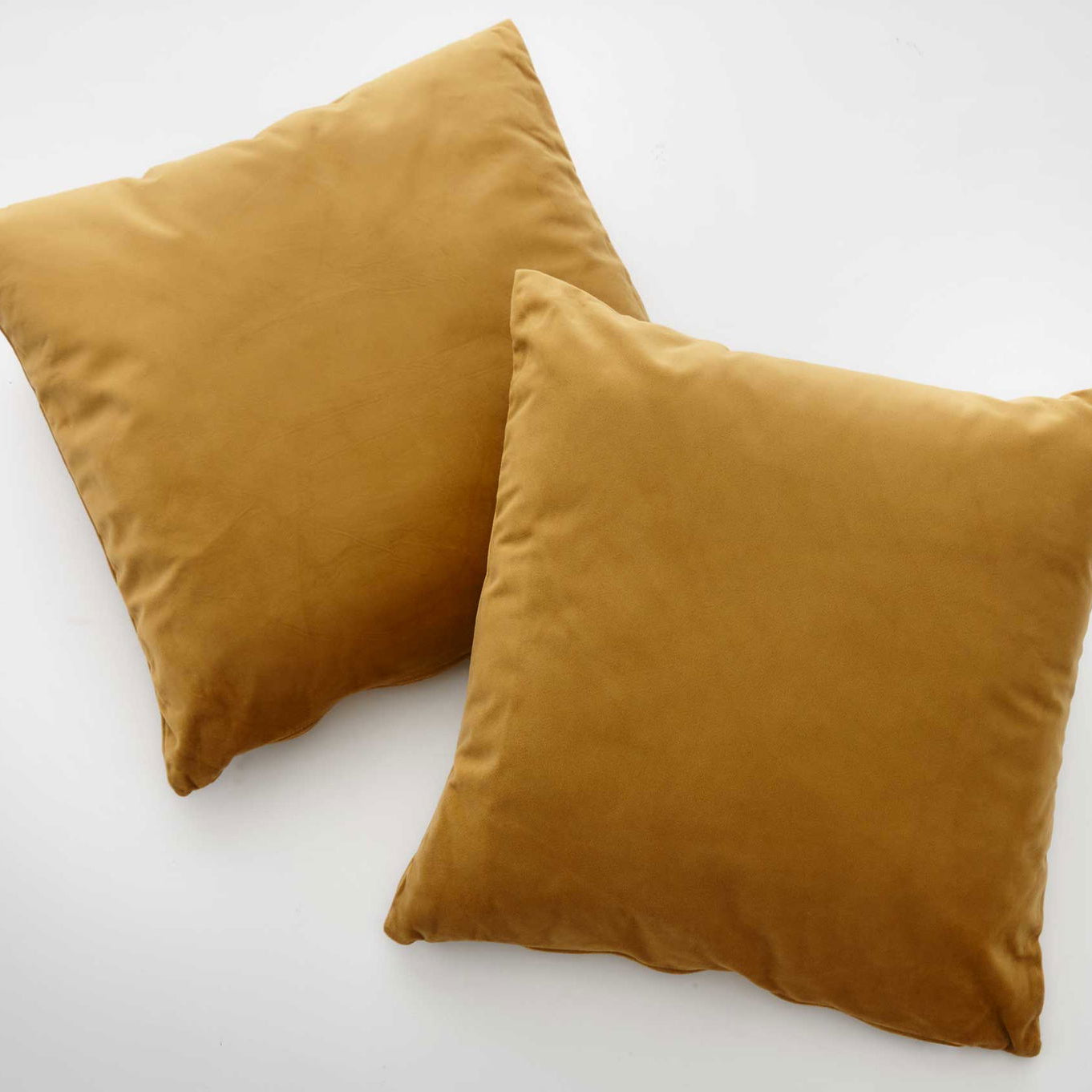 2er Set Sofakissen mit Füllung »Milano« Dekokissen mit Komfort-Samt-Bezug und Reißverschluß mit Füllkissen Extra Weich Couchkissen 203572-2 Senf Kissen mit Füllung 2er_Set_Sofakissen_mit_Fullung_Milano_Dekokissen_mit_Komfort-Samt-Bezug_und_Reissverschluss_mit_Fullkissen_Extra_Weich_Couchkissen_203572-2_-_Gardinenbox.de_-_-3673344 | Gardinenbox.de