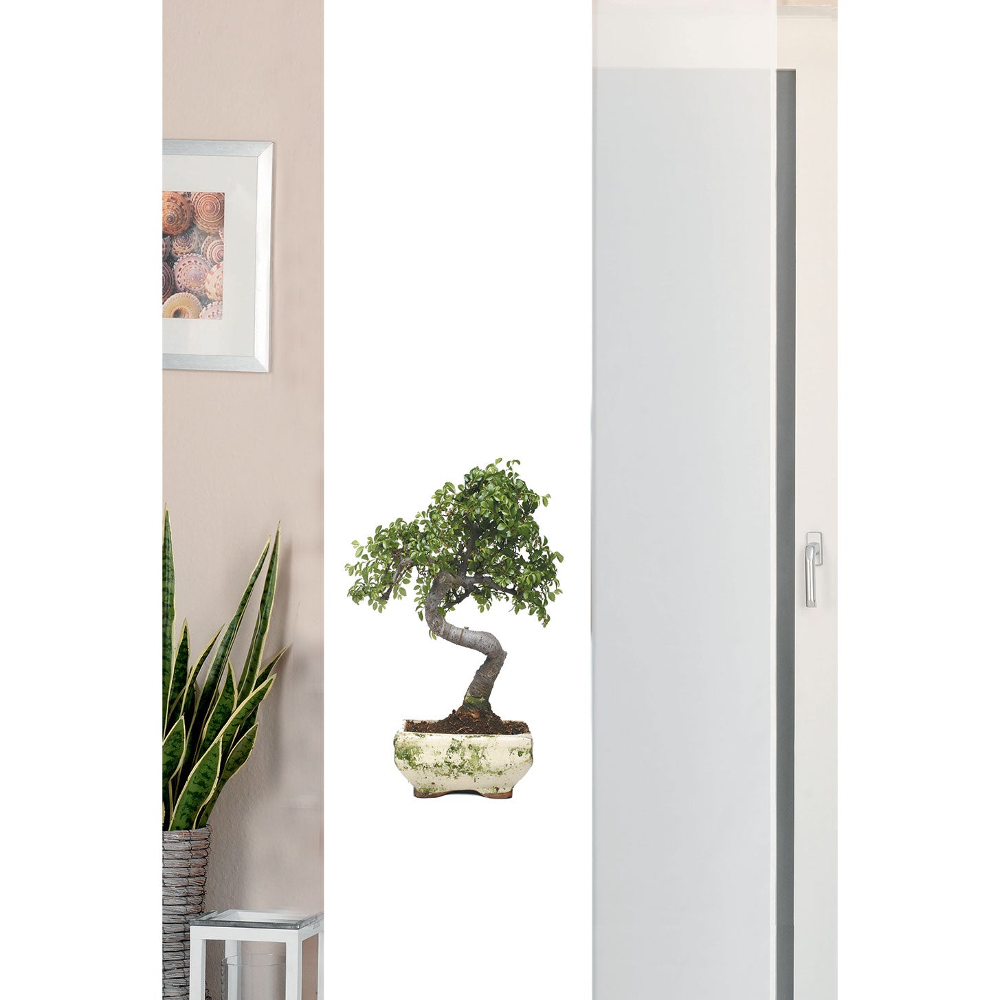 2er Set Schiebegardine Flächenvorhang Wildseide Optik und Voile Paneel 80400 Bonsai Schiebegardine 80400bonsai | Gardinenbox.de