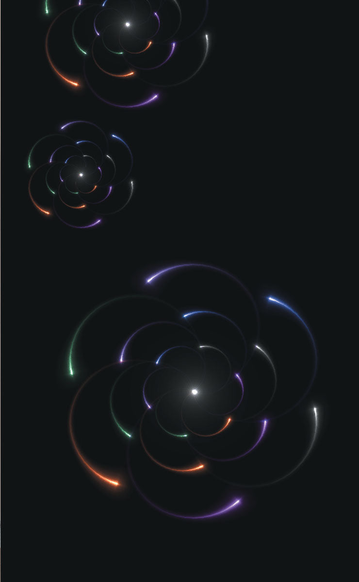 2er Set Schiebegardine Flächenvorhang Wildseide Optik und Voile Paneel 80400 Schiebegardine 80400circle_4915fc06-a347-4b0d-8243-313d1327d942 | Gardinenbox.de