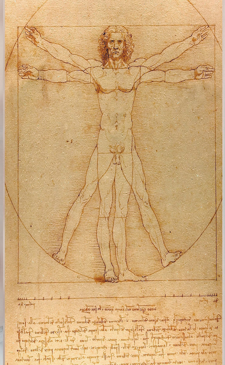 2er Set Schiebegardine Flächenvorhang Wildseide Optik und Voile Paneel 80400 Schiebegardine 80400da_vinci_4fa8e73b-a2aa-4157-a705-a28e6ed7f33b | Gardinenbox.de