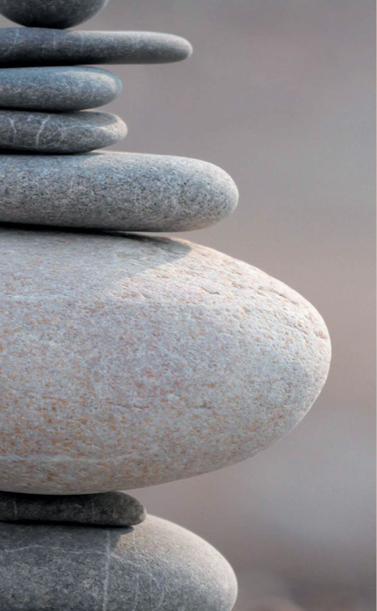 2er Set Schiebegardine Flächenvorhang Wildseide Optik und Voile Paneel 80400 Schiebegardine 80400steine_grau_49e2130b-fa55-40aa-a284-72eef49722d0 | Gardinenbox.de