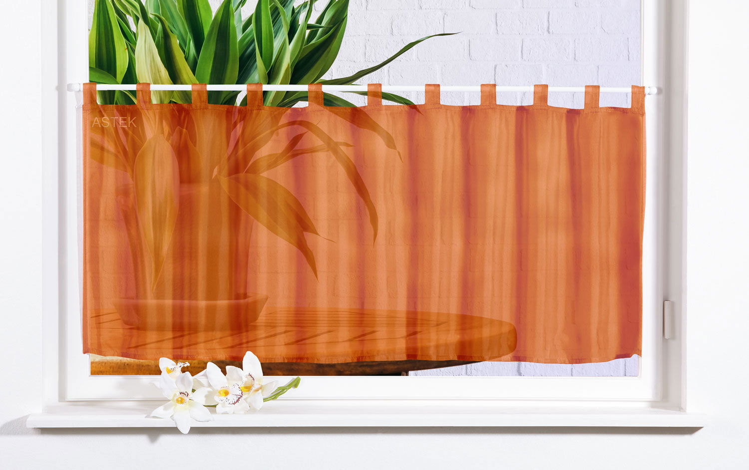 Gardinenbox Scheibengardine UNI Voile 61070 Terrakotta Scheibengardine Gardinenbox_Scheibengardine_UNI_Voile_61070_-_Gardinenbox.de_-_-3683931 | Gardinenbox.de