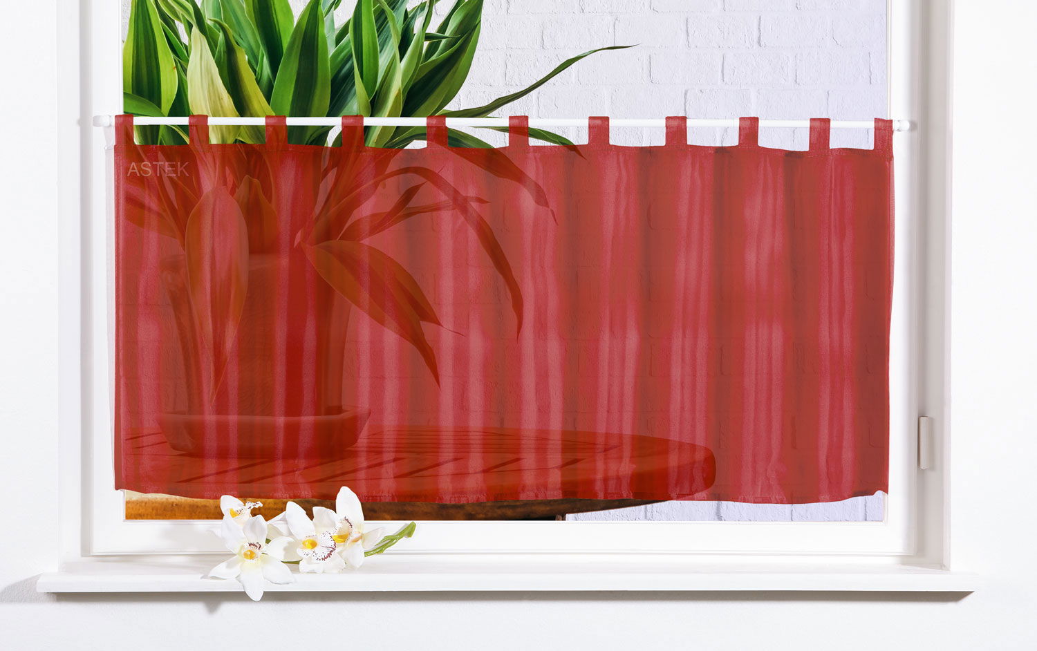 Gardinenbox Scheibengardine UNI Voile 61070 Bordeaux Scheibengardine Gardinenbox_Scheibengardine_UNI_Voile_61070_-_Gardinenbox.de_-_-3683952 | Gardinenbox.de