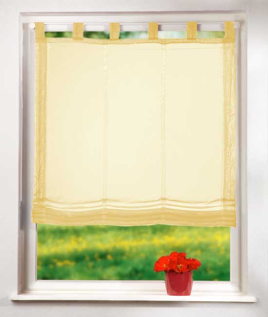 Raffrollo Voile UNI mit Schlaufen 61008 Gelb 160x60 Raffrollo Raffrollo_Voile_UNI_mit_Schlaufen_61008_-_Gardinenbox.de_-_-3688111 | Gardinenbox.de
