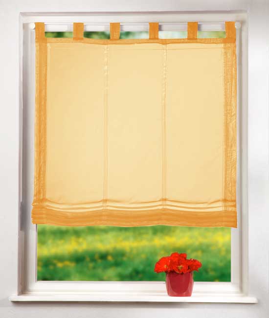 Raffrollo Voile UNI mit Schlaufen 61008 Orange 160x60 Raffrollo Raffrollo_Voile_UNI_mit_Schlaufen_61008_-_Gardinenbox.de_-_-3688119 | Gardinenbox.de