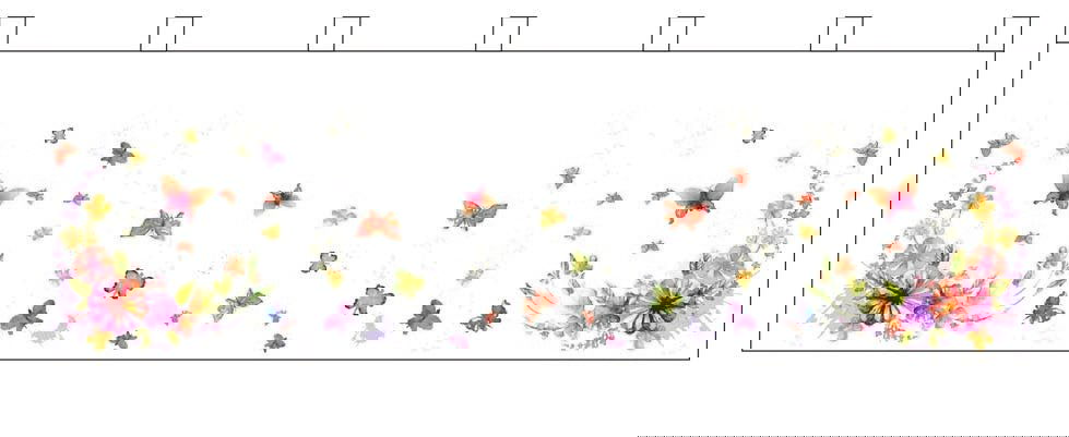 Scheibengardine »Digital Druck« Voile Kurzgardine SChlaufen Transparent Digital Druck Küche Fenster Modern 10000262 Scheibengardine Scheibengardine_Digital_Druck_Voile_Kurzgardine_SChlaufen_Transparent_Digital_Druck_Kuche_Fenster_Modern_10000262_-_Gardinenbox.de_-_-3689615 | Gardinenbox.de