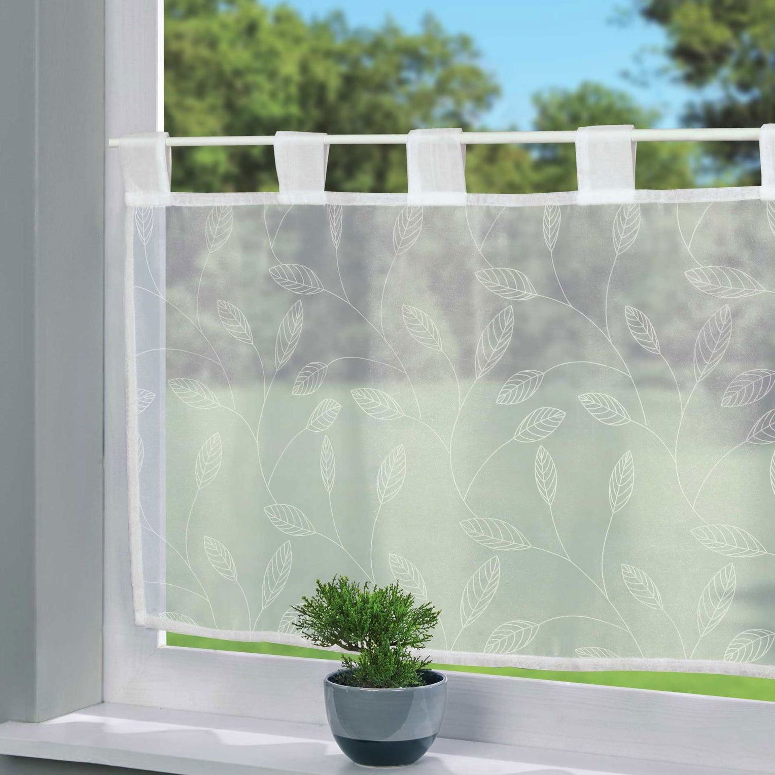 Scheibengardine Voile »Ulm« Ausbrenner Bedruckt Sichtschutz Transparent Küchenfenster 202071 Efeu HxB 43x100 cm Scheibengardine Scheibengardine_Voile_Ulm_Ausbrenner_Bedruckt_Sichtschutz_Transparent_Kuchenfenster_202071_-_Gardinenbox.de_-_-3689309 | Gardinenbox.de