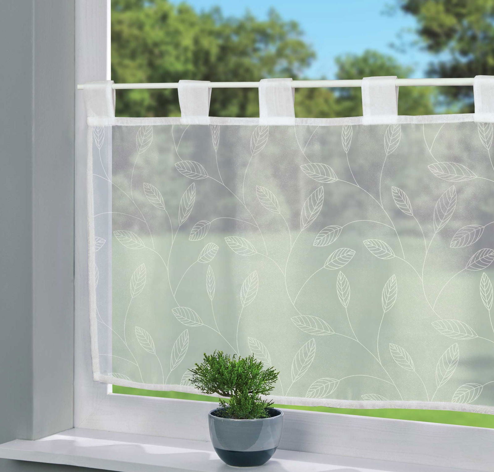 Scheibengardine Voile »Ulm« Ausbrenner Bedruckt Sichtschutz Transparent Küchenfenster 202071 Efeu HxB 43x100 cm Scheibengardine Scheibengardine_Voile_Ulm_Ausbrenner_Bedruckt_Sichtschutz_Transparent_Kuchenfenster_202071_-_Gardinenbox.de_-_-3689309 | Gardinenbox.de