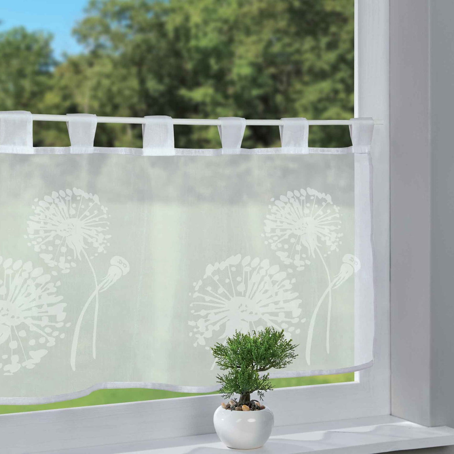 Scheibengardine Voile »Ulm« Ausbrenner Bedruckt Sichtschutz Transparent Küchenfenster 202071 Löwenzahn HxB 43x100 cm Scheibengardine Scheibengardine_Voile_Ulm_Ausbrenner_Bedruckt_Sichtschutz_Transparent_Kuchenfenster_202071_-_Gardinenbox.de_-_-3689348 | Gardinenbox.de