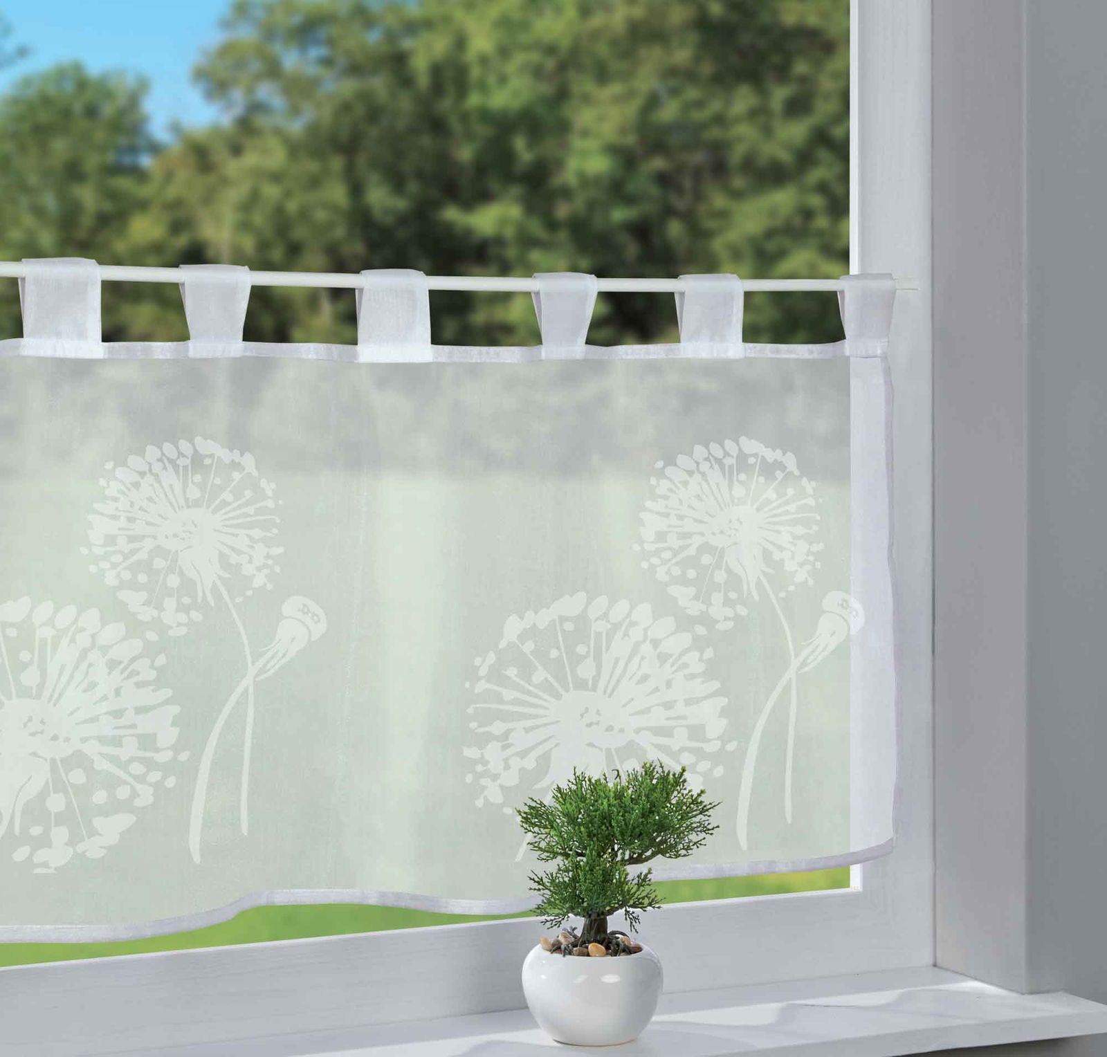 Scheibengardine Voile »Ulm« Ausbrenner Bedruckt Sichtschutz Transparent Küchenfenster 202071 Löwenzahn HxB 43x100 cm Scheibengardine Scheibengardine_Voile_Ulm_Ausbrenner_Bedruckt_Sichtschutz_Transparent_Kuchenfenster_202071_-_Gardinenbox.de_-_-3689348 | Gardinenbox.de