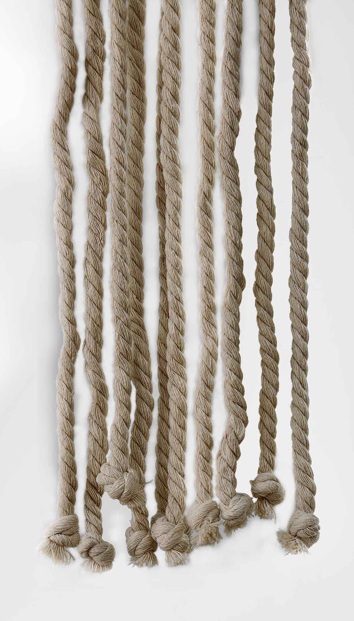 Türvorhang »Hamburg« Seilvorhang Insektenvorhang Raumtrenner leicht kürzbar Insektenschutz Kordel 2022610 Seilvorhang Turvorhang_Hamburg_Seilvorhang_Insektenvorhang_Raumtrenner_leicht_kurzbar_Insektenschutz_Kordel_2022610_-_Gardinenbox.de_-_-3692816 | Gardinenbox.de