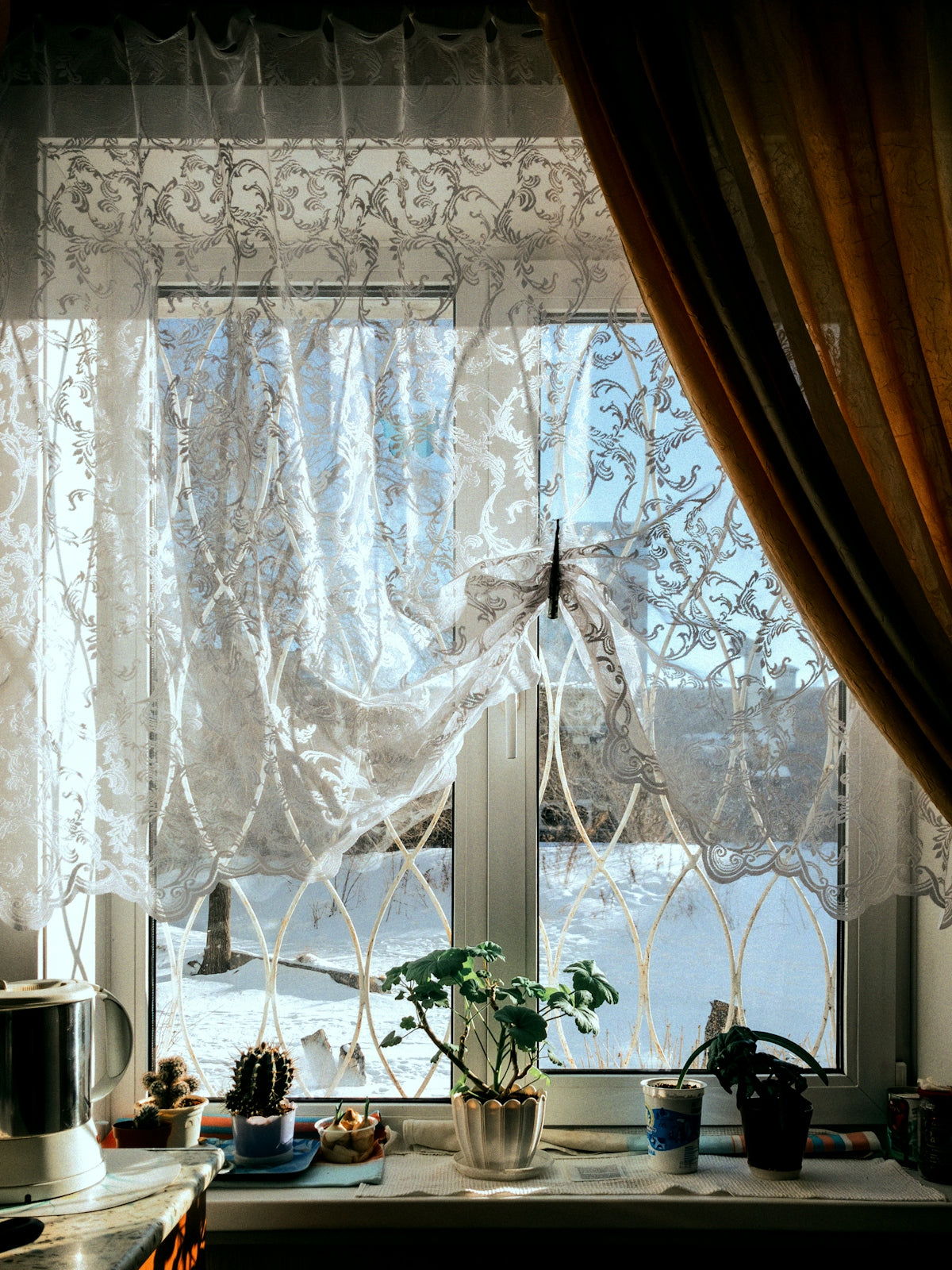 A kitchen window with a potted plant in the window sill