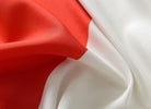 Gardine Vorhang Ösenschal  Flagge  Fußball Fan Flag Banner Landesfarben 20360 - Gardinenbox.de - 