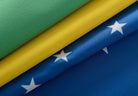 Gardine Vorhang Ösenschal  Flagge  Fußball Fan Flag Banner Landesfarben 20360 - Gardinenbox.de - 