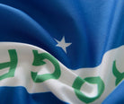 Gardine Vorhang Ösenschal  Flagge  Fußball Fan Flag Banner Landesfarben 20360 - Gardinenbox.de - 