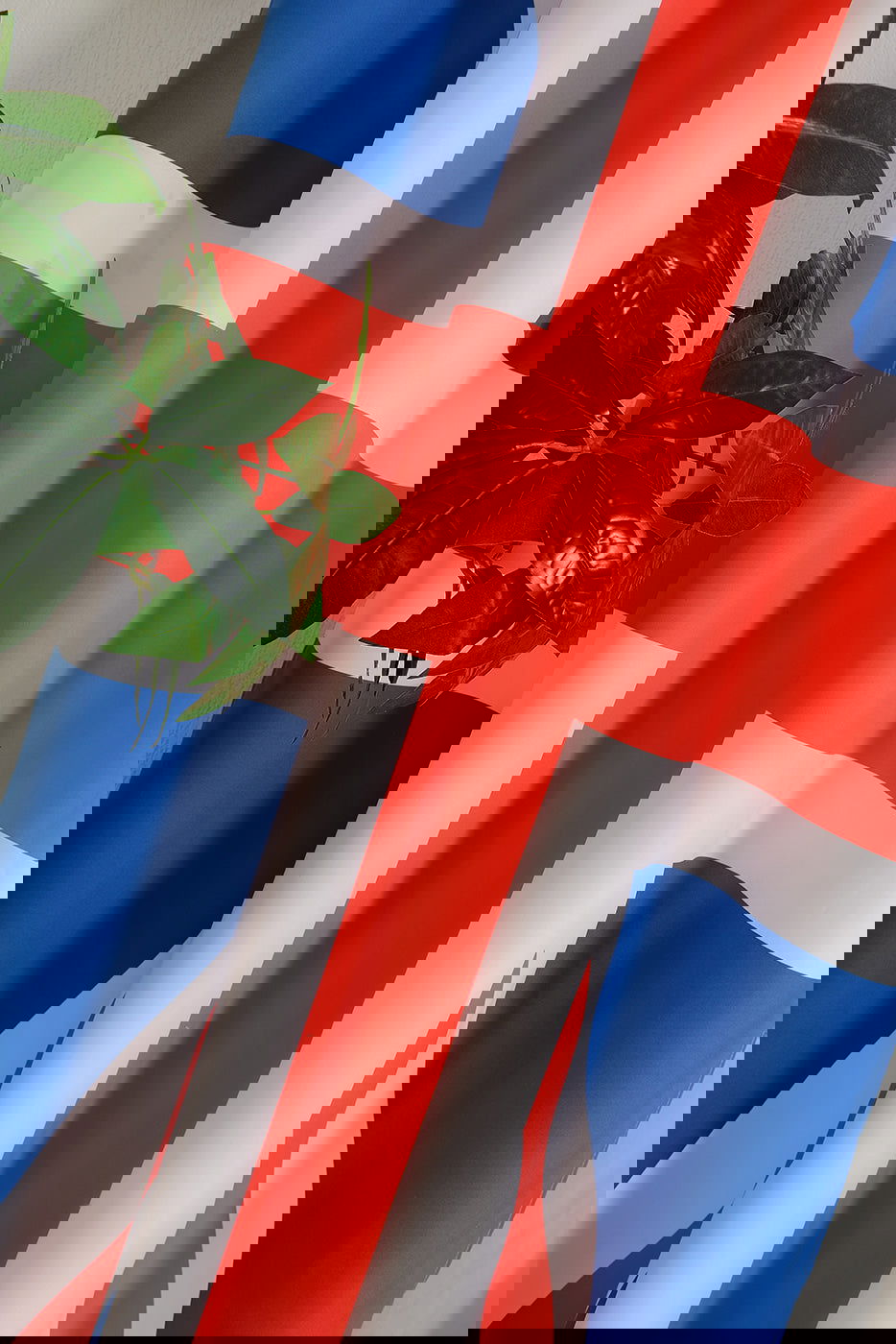 Gardine Vorhang Ösenschal  Flagge  Fußball Fan Flag Banner Landesfarben 20360 - Gardinenbox.de - 