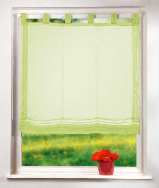 Raffrollo Voile UNI mit Schlaufen 61008 Apfelgrün 160x100 Raffrollo Raffrollo_Voile_UNI_mit_Schlaufen_61008_-_Gardinenbox.de_-_-3688087 | Gardinenbox.de