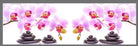Scheibengardine »Digital Druck« Voile Kurzgardine SChlaufen Transparent Digital Druck Küche Fenster Modern 10000262 Scheibengardine Scheibengardine_Digital_Druck_Voile_Kurzgardine_SChlaufen_Transparent_Digital_Druck_Kuche_Fenster_Modern_10000262_-_Gardinenbox.de_-_-3689602 | Gardinenbox.de
