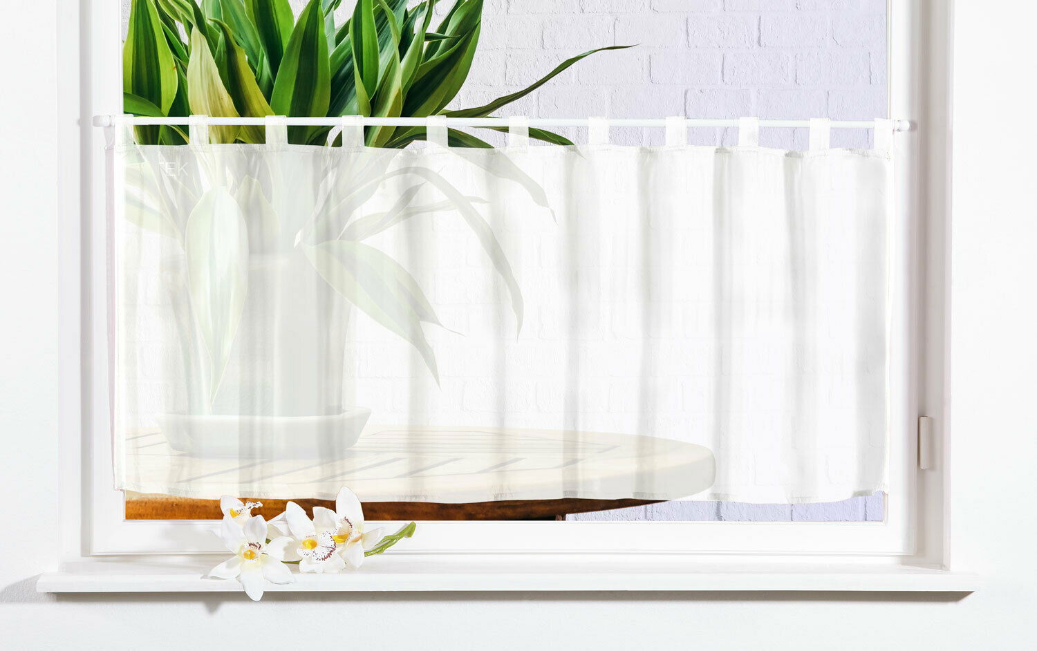 Scheibengardine Voile Gardine Schlaufen mit Bordüre (HxB) 610700 Weiß Scheibengardine Scheibengardine_Voile_Gardine_Schlaufen_mit_Bordure_HxB_610700_-_Gardinenbox.de_-_-3689214 | Gardinenbox.de