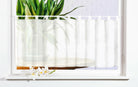 Scheibengardine Voile Gardine Schlaufen mit Bordüre (HxB)  610700 - Gardinenbox.de - 